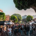 Downtown Farmer's Market