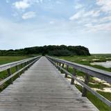 Cape Cod Rail Trail