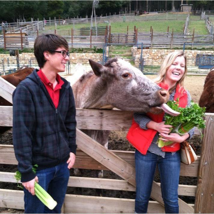 The Little Farm in Tilden Park (~2012)
