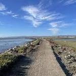 Hayward Regional Shoreline