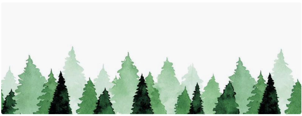 The Wedding Website of Shannon Goodman and John Szczyglak