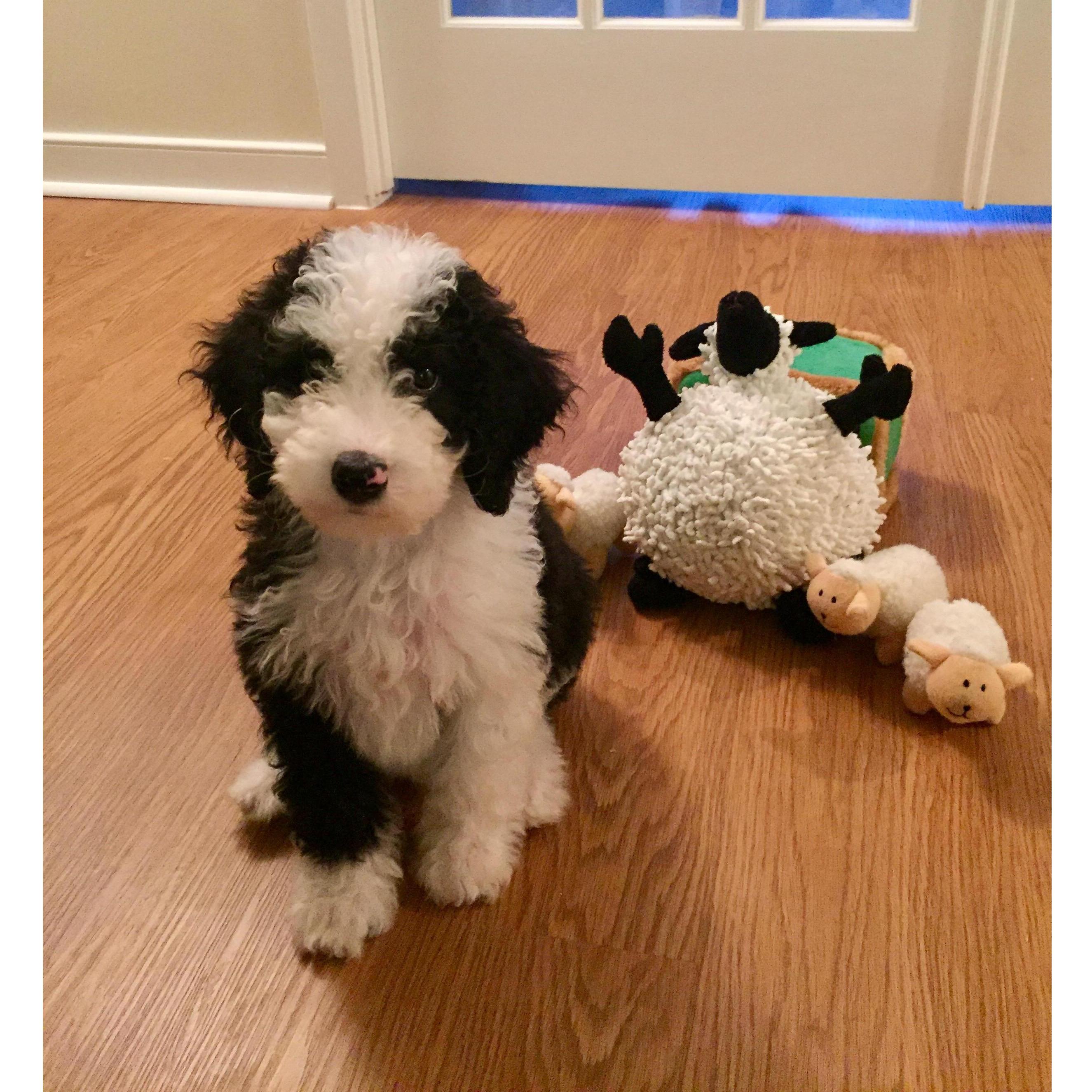 Oreo... just because she's the cutest. :) <3