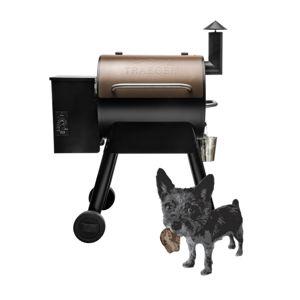 Traeger Pro Series 22 Pellet Grill / Smoker