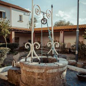 Wishing Well Contribution