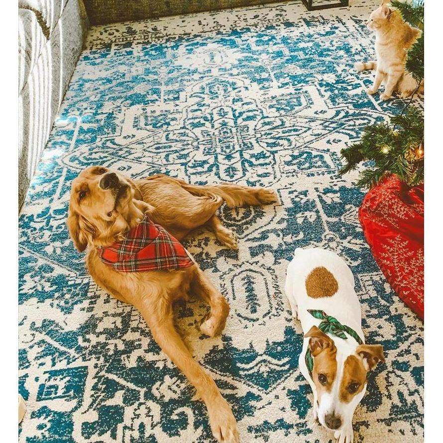 Our fur babies.