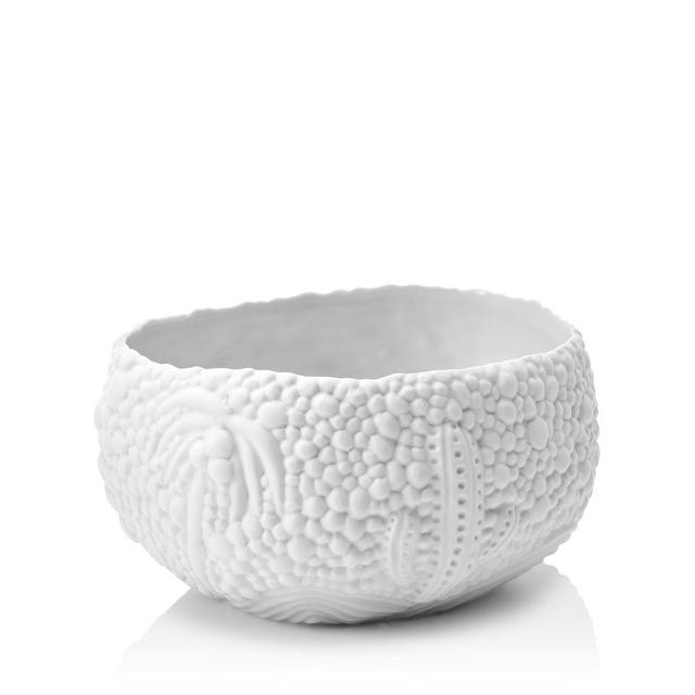 L'Objet Haas Mojave Dessert Bowl, Small