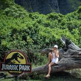 Kualoa Ranch Jurassic Adventure Tour
