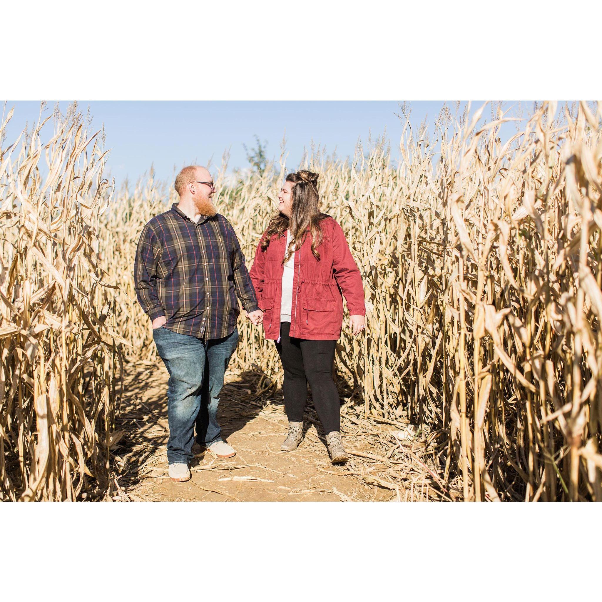 Re-enacting walking through the corn