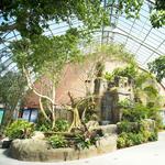 National Aviary