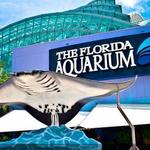 The Florida Aquarium
