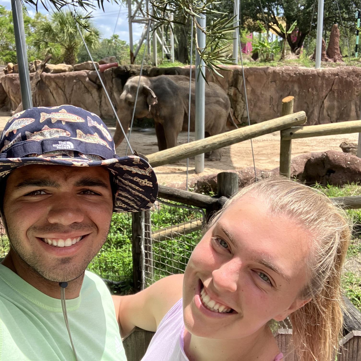 Busch Gardens with the fam