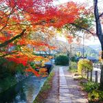 Philosopher’s Path