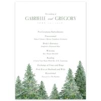 Program