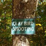Clay Bird Lessons