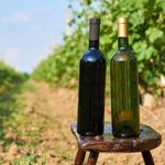 Niagara Wine Trail