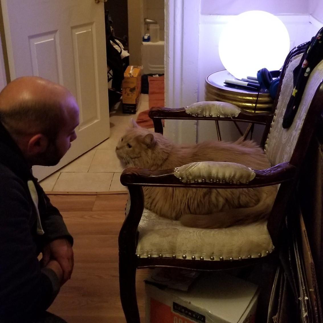 Nov. 26, 2020 - Joe and Leo having a heart-to-heart about kitty claws on the furniture.