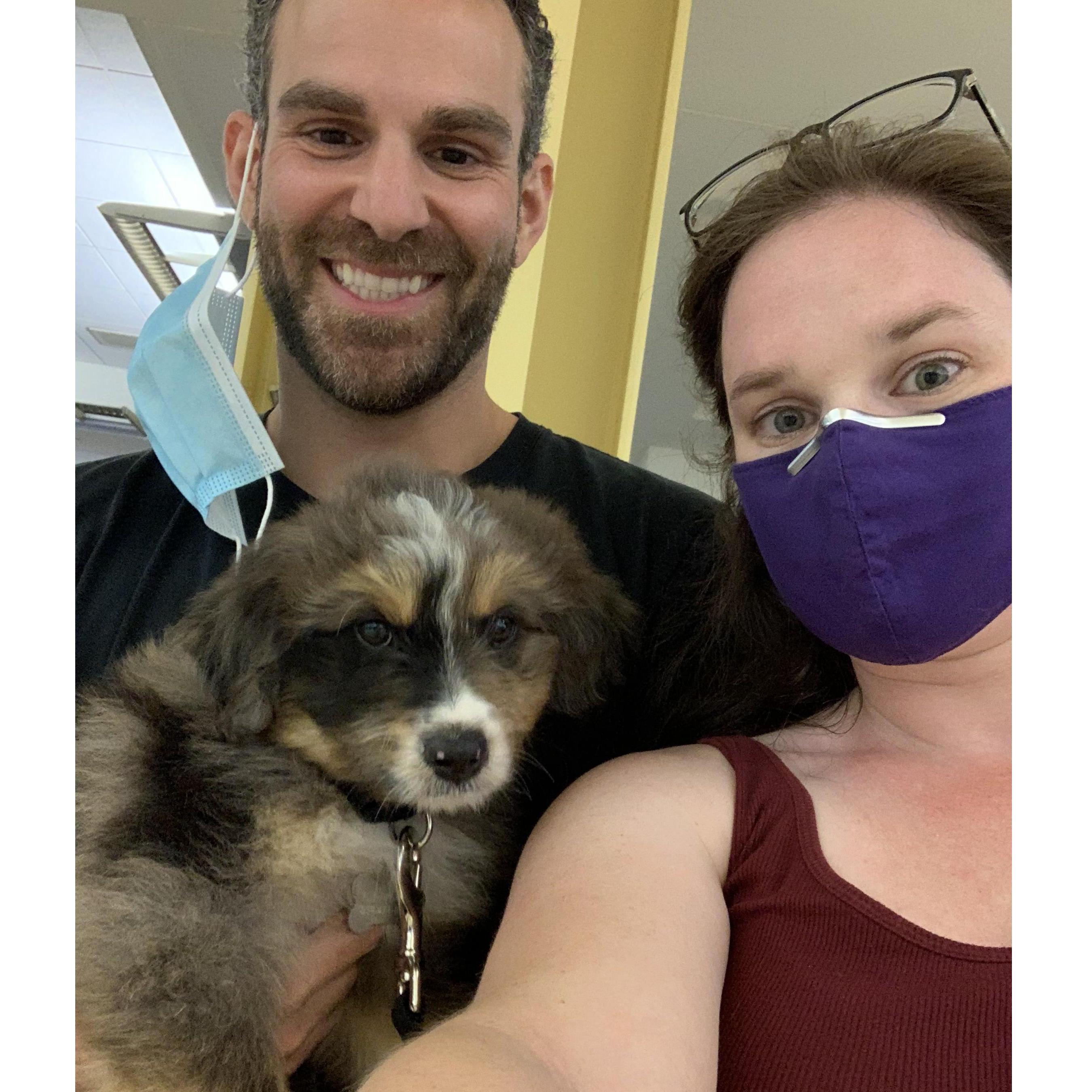 New puppy Argos came home July 2021!