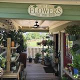 Antique Rose Emporium - Nursery & Display Gardens
