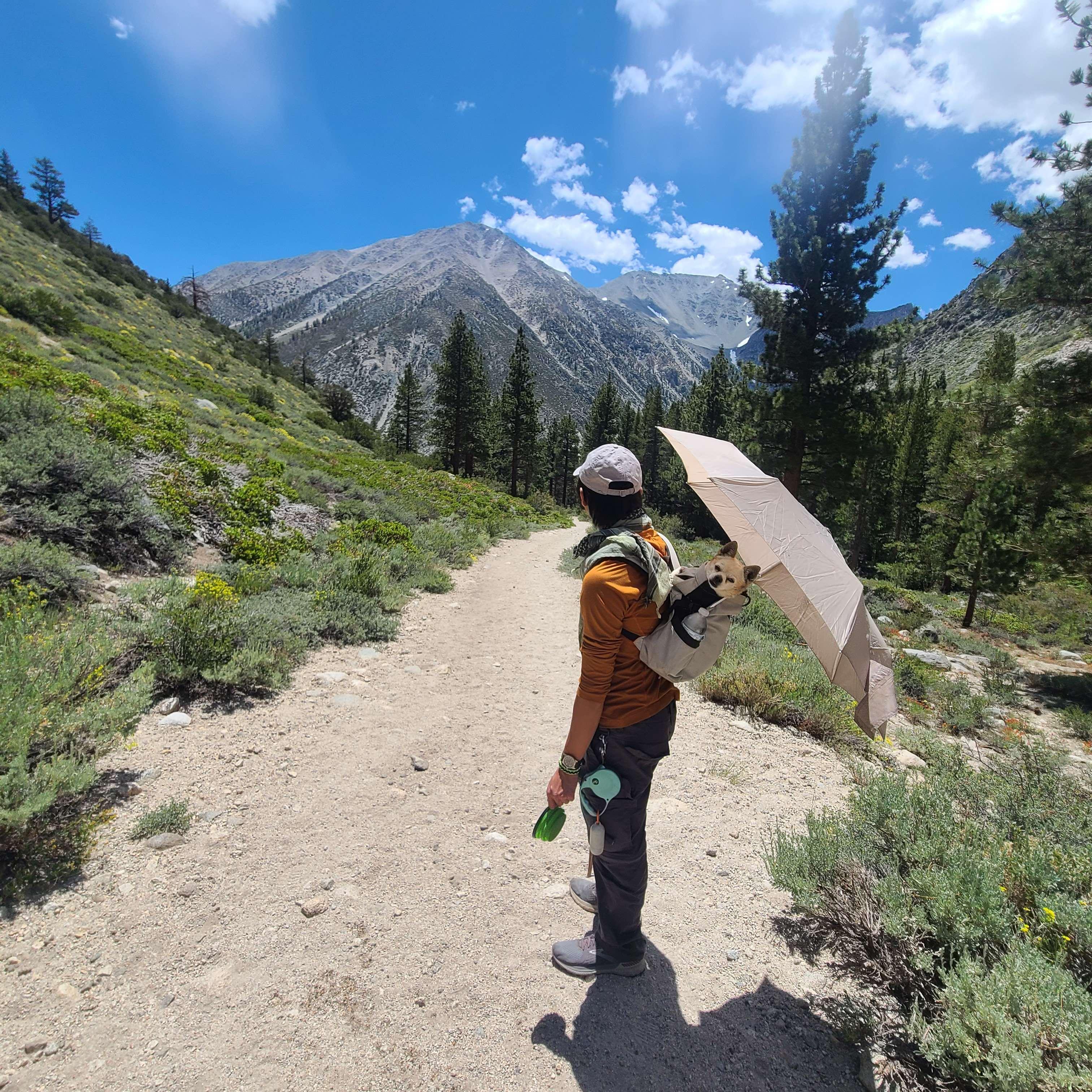 Eastern Sierra
