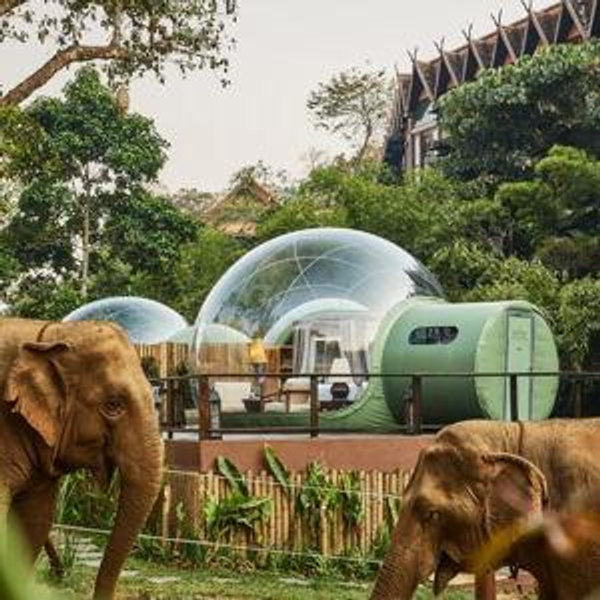 2-Night Stay at Jungle Resort