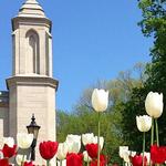 Indiana University Bloomington