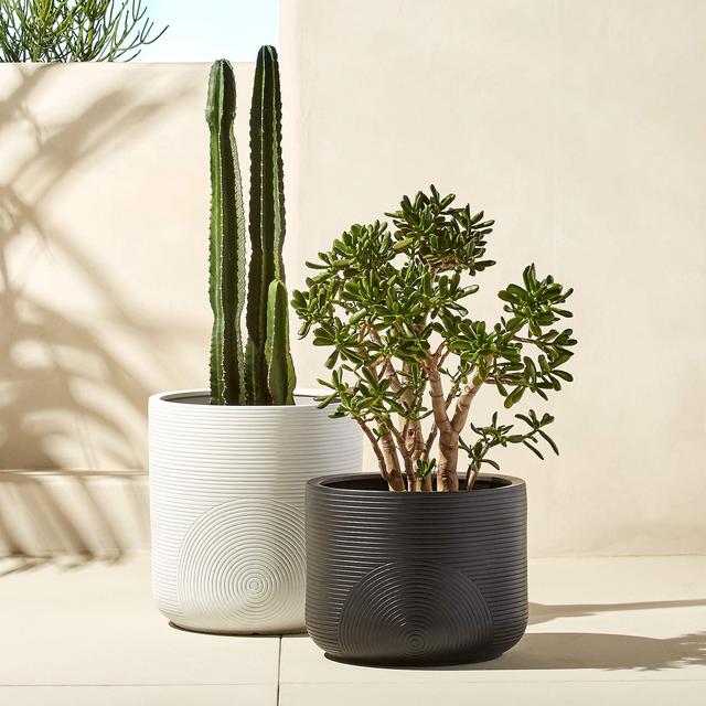 Zen Planters