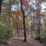 Winged Deer Park