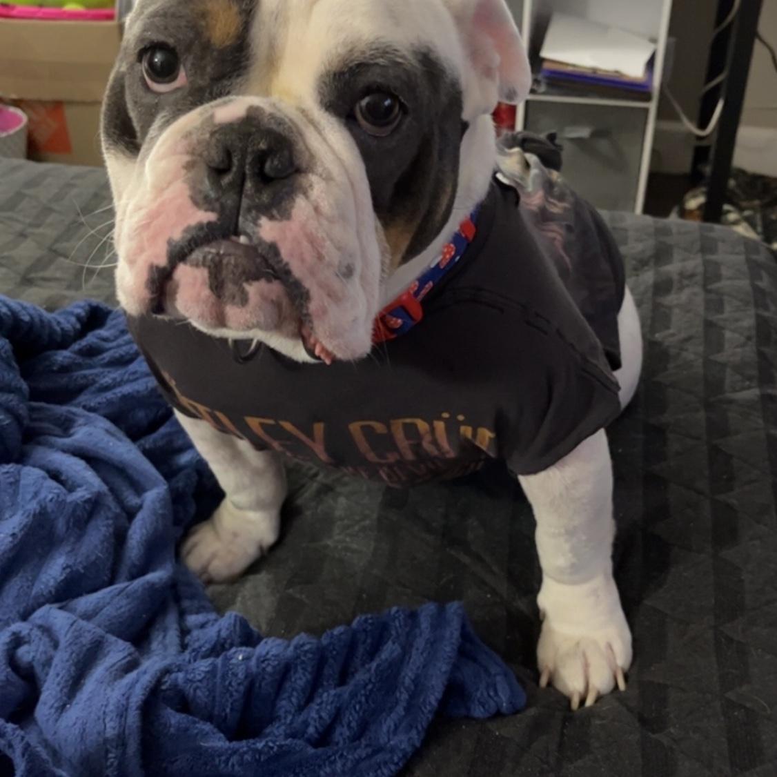 Our “daughter”