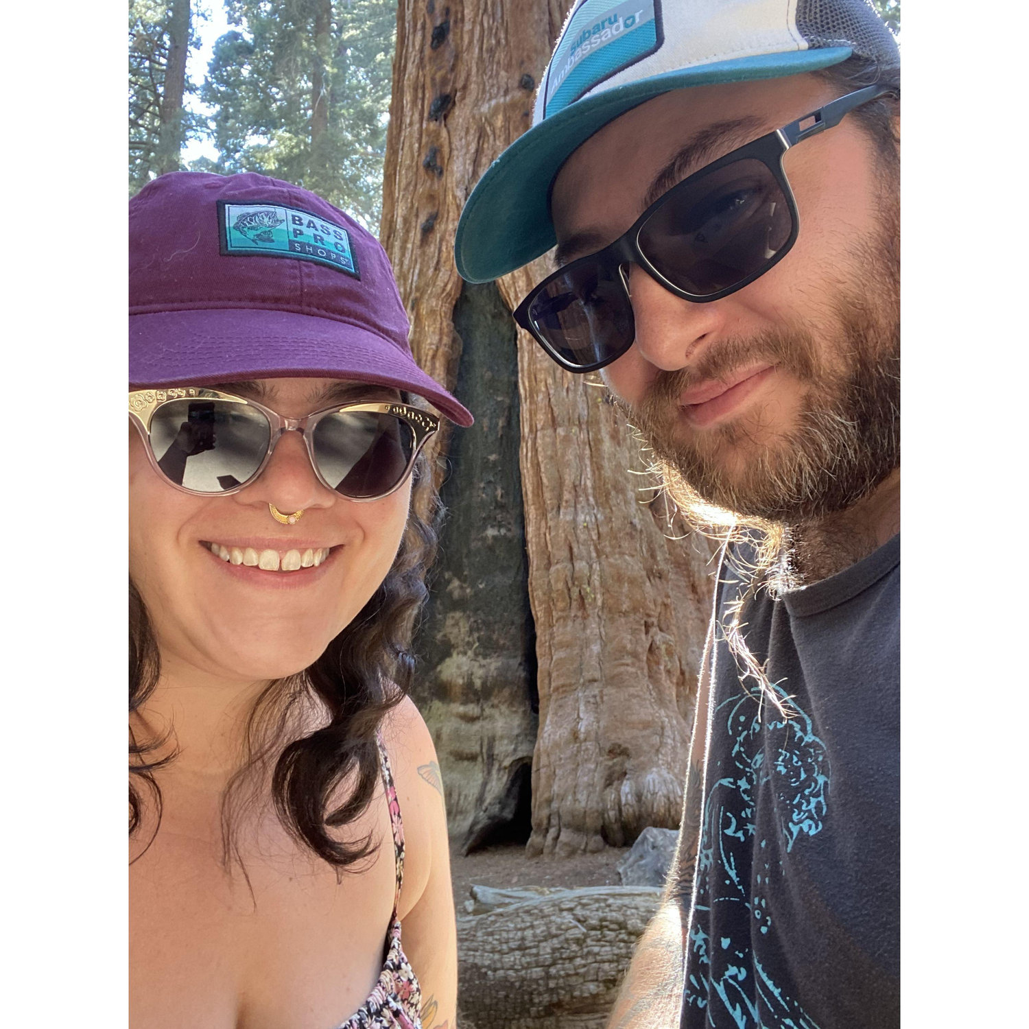 June 2021. Big Trees State Park