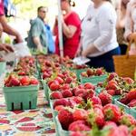 Dane County Farmers Market