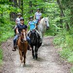 Horseback Riding at Mountain Top