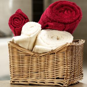 Thomas Lee White Hand Towels