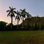 Full Circle Farm