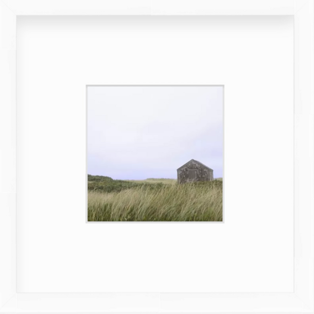 Grey Lady Framed Photograph