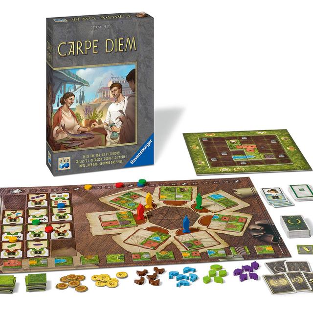Ravensburger 269198 Carpe Diem, Gray