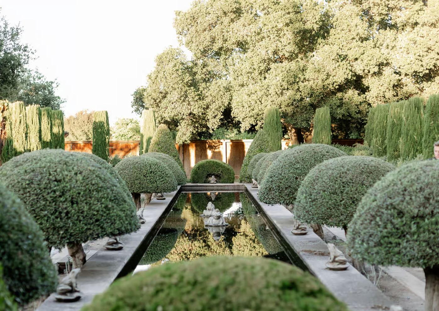 The Wedding Website of Tania Alvarez and Benjamin Urruticochea