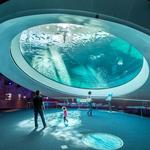 Frost Museum of Science
