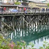 Downtown Salmon Fishing - Ship Creek