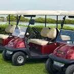 Golf Cart Rentals
