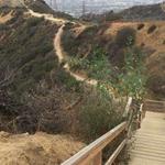 Runyon Canyon Road Hiking Path