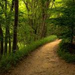 Neshaminy State Park
