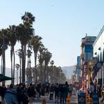 Venice Beach