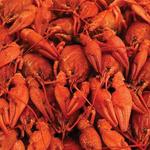 Boil House - Crawfish