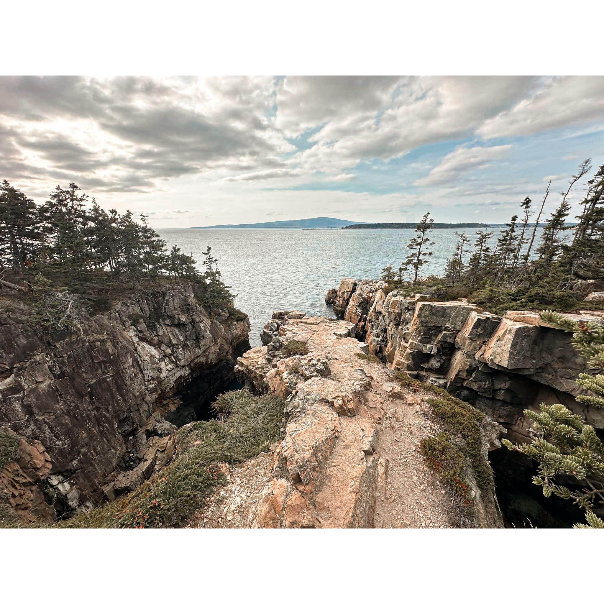 the spot. ravens nest in the Schoodic District of Acadia National Park