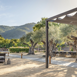 Wine Tasting (walking distance)