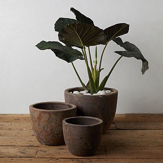 Barnacle Low Egg Pot