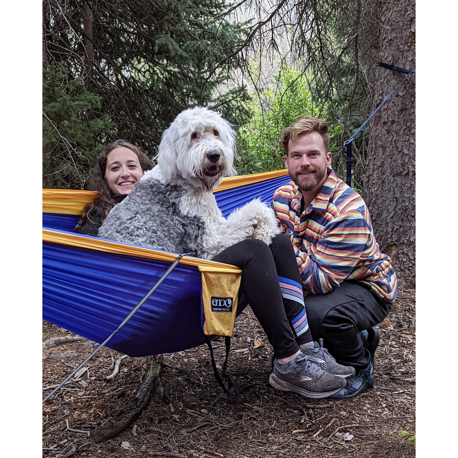 Walt fits easily into the hammock