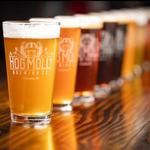 Hog Molly Brewing Co.