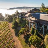 Thomas Fogarty Winery