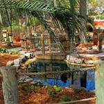 Mini Golf